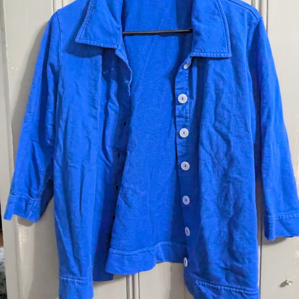 Fresh Produce Vibrant Blue Jean Jacket